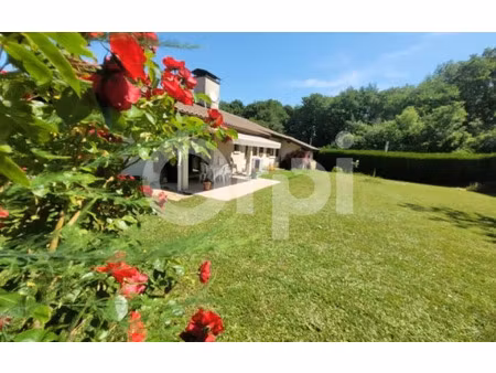 maison nernier 110 m² t-4 à vendre  695 000 €