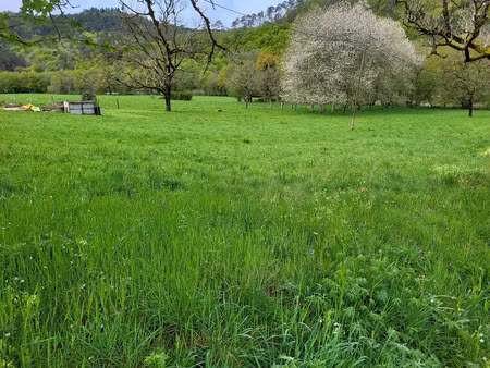 vente terrain 2000 m² à argentat-sur-dordogne (19400)  9 500 €