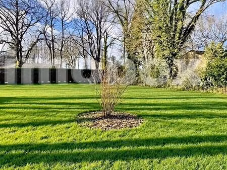 vente terrain au cellier (44850) : à vendre / le cellier