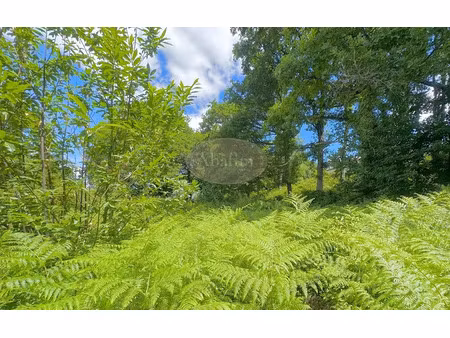 vente terrain à batir 2400 m² à barbazan-debat (65690)  47 000 €
