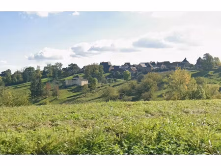 vente terrain 2690 m² à vars-sur-roseix (19130)  27 000 €
