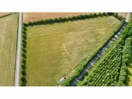 vente terrain 22350 m² à chateau-gontier (53200)  29 900 €