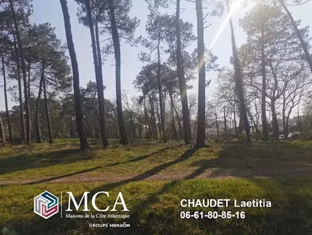 vente terrain 800 m² à tartas (40400)  51 500 €