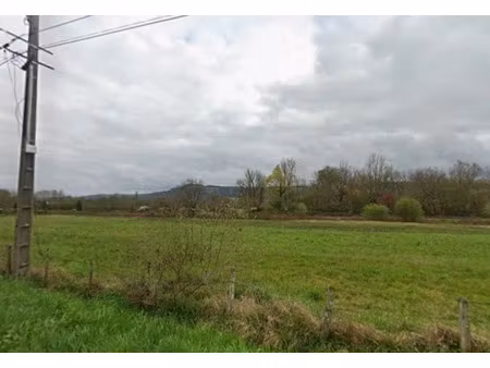 vente terrain 2591 m² à mansac (19520)  50 000 €