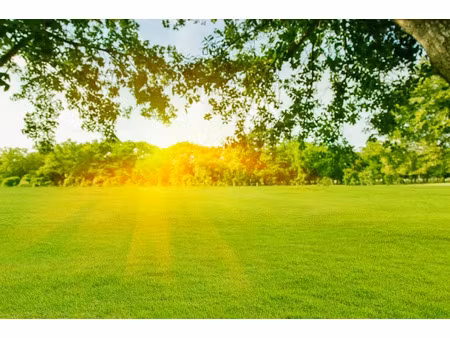 vente terrain 375 m² à sarry (51520)  60 000 €
