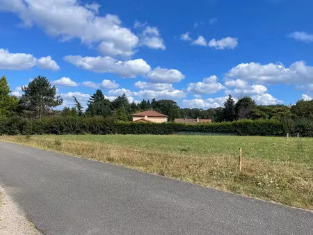 vente terrain 1000 m² à verneuil-sur-vienne (87430)  65 000 €