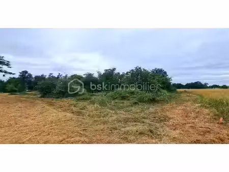 vente terrain 1143 m² à peyssies (31390)  80 000 €