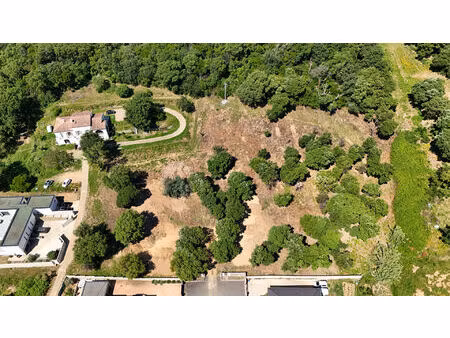 terrain angiolasca en plaine de 8775 m2 20290 monte corse