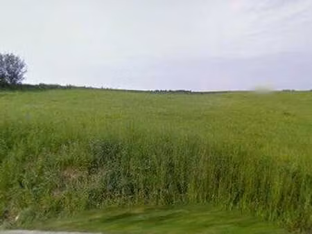 beau terrain de 19 ares 50