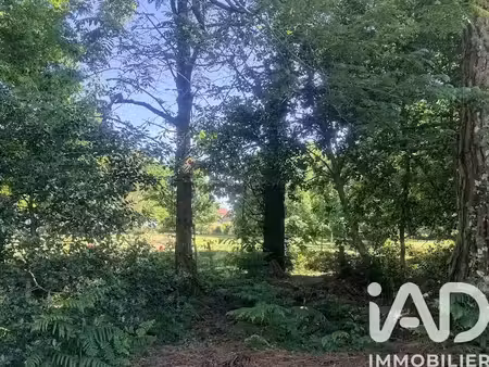 vente terrain 9200 m² à sainte-eulalie-en-born (40200)  650 000 €
