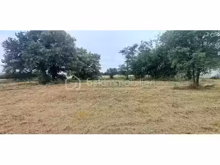 vente terrain 1010 m² à peyssies (31390)  89 000 €