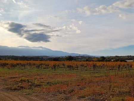 vente terrain 421 m² à brouilla (66620)  115 500 €