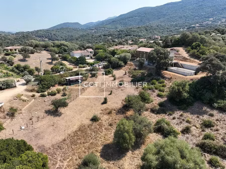 vente terrain 2900 m² à sollacaro (20140)  160 000 €