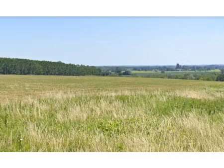 vente terrain 1400 m² à carignan-de-bordeaux (33360)  310 000 €