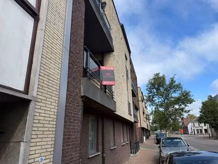 appartement à louer à maaseik € 850 (lpbzh) - suzanne louw vastgoed | zimmo