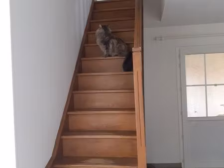 appartement t3