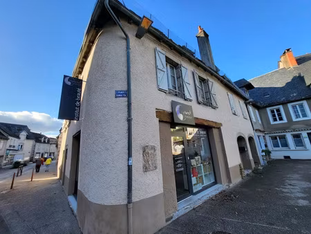 vente immeuble 0 pièces 180 m² à argentat-sur-dordogne (19400)  108 000 €