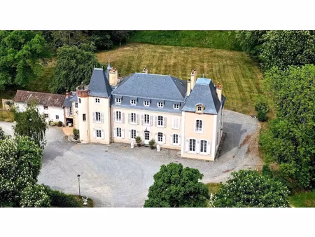 vente château 14 pièces 500 m² à yzeure (03400)  1 990 000 €