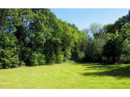 terrain carhaix-plouguer m² t- à vendre  31 800 €