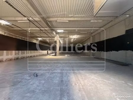 local industriel 600 m²
