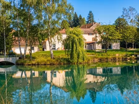 propriété d'exception : étang privé  piscine couverte et gî