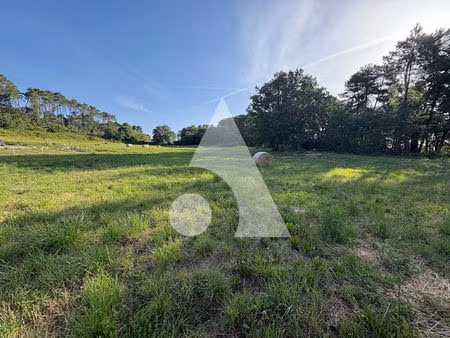 terrain mercuer 1064 m2