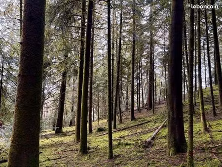 propriété forestière 9 hectares-grand-est-haute-saône (70)