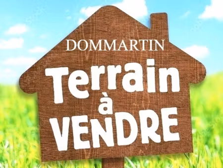 terrain constructible