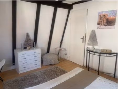 à louer ravissant f1 au cœur de la petite venise de colmar