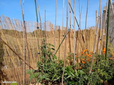 cherche petit terrain pour potager