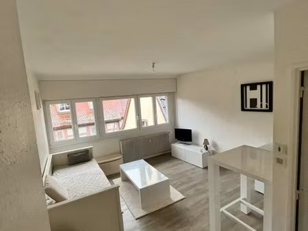 appartement meublé centre ville colmar