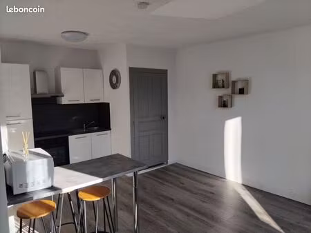 appartement t1 lumineux de 33m2