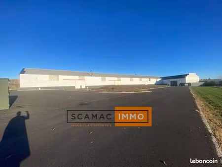local d'activité 595 m²