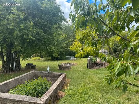 terrain avec jardin