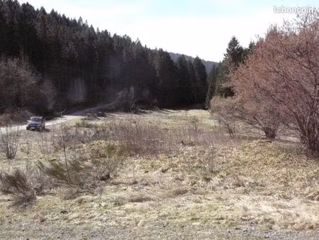 terrain constructible