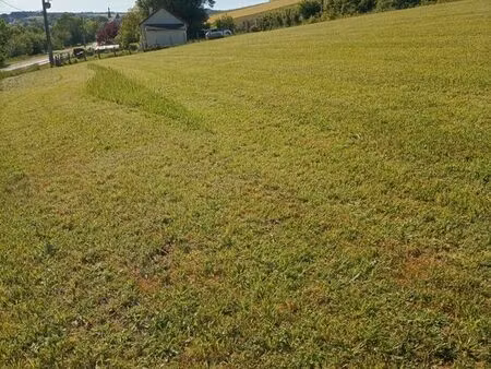 terrain de loisirs