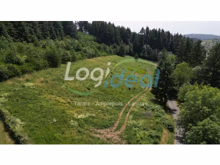 sur les hauteurs de grandris  5 parcelles de terrain