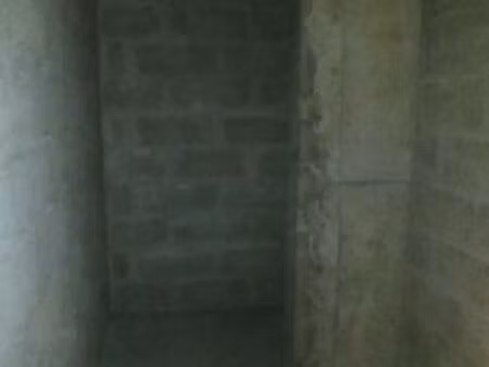 cave à louer