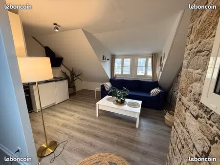 ? usage pro: studio 27m2 hyper centre à pont l'évêque ?