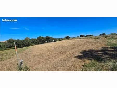 terrain 2363 m2 aleria