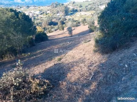 à vendre terrain constructible sur la plaine de cuttoli