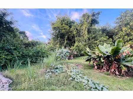terrain les abymes m² t- à vendre  177 000 €