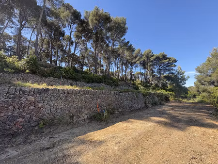 vente terrain 6400 m² ollioules (83190)