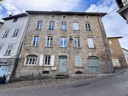 immeuble eymoutiers 10 pièce(s) 283 m2