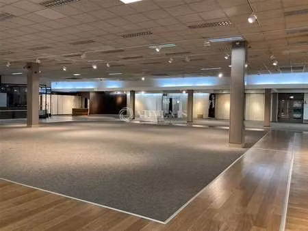 vente commerce epinal 88000 2393m²