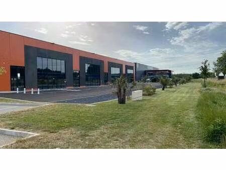 location commerce saint quentin fallavier 38070 370m² à 1111m²