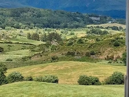 massif du sancy - grande maison en pierre – idéal artisan ou projet locatif
