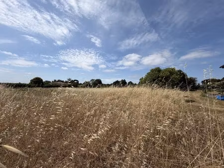 terrain constructible de 6977 m2