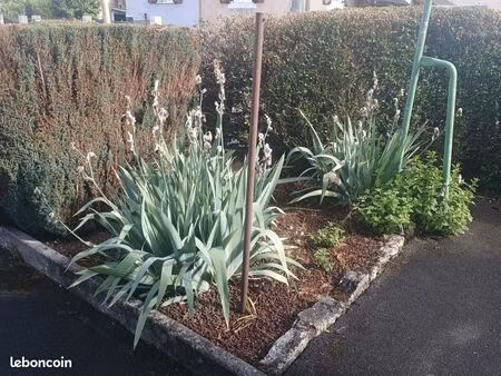 maison 77 m² / 3 pièces