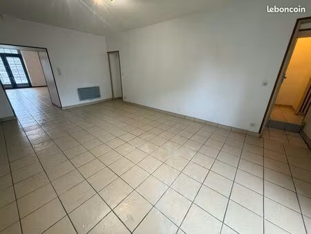 grand appartement t2 de 81m2 avec terrasse - centre de chaunay(86)